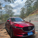 Mazda Cx8 Deluxe 2021 3