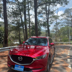 Mazda Cx8 Deluxe 2021 7